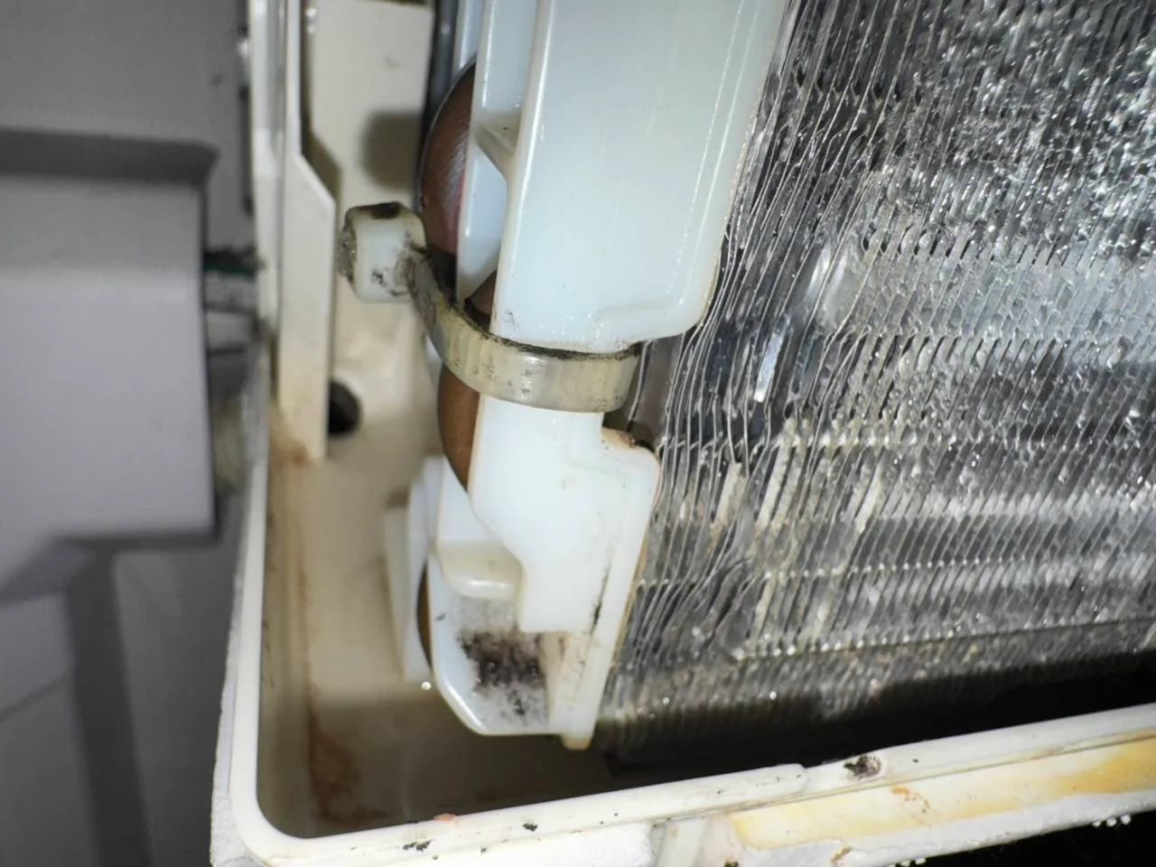 熱交換器横のドレンパンに付着した汚れを確認している様子