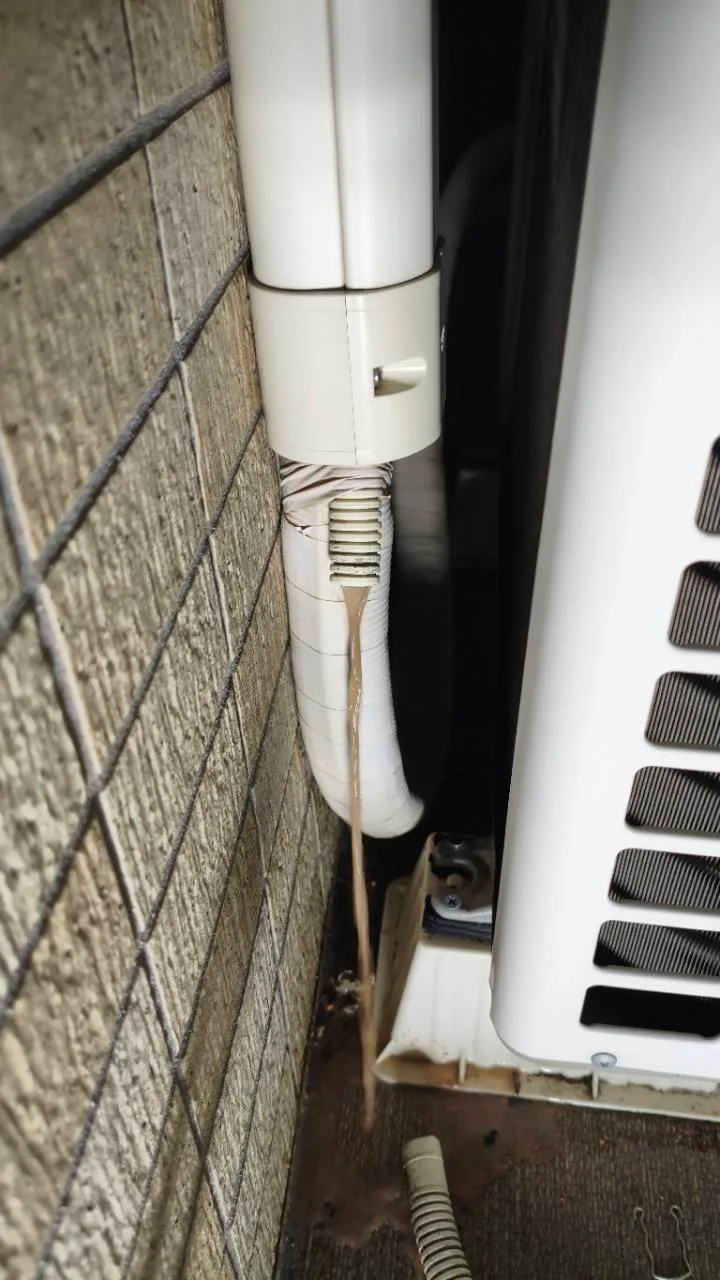 清掃後に屋外のエアコンドレンホースから水が排出されている状態